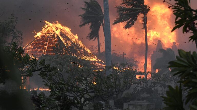 Hawaï ravagée par des feux de forêt