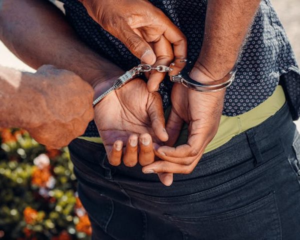 Trafic d’organes : un réseau démantelé par la DCPJ à Pétion-Ville