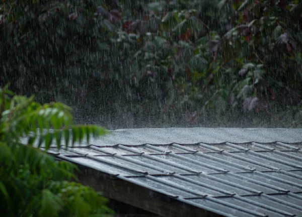 Une lueur d’espoir : la pluie s’invite sur la capitale au jour de l’An